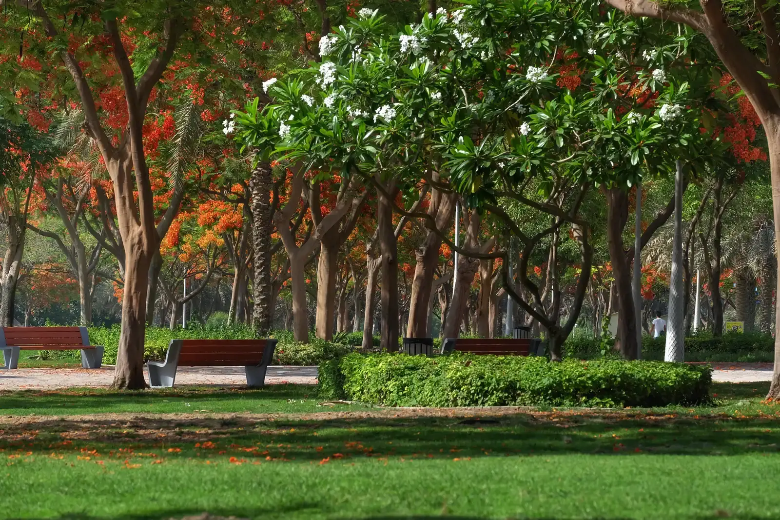 Dubai's Billion-Dollar Bet on Green Spaces (By wilhelmtittes, CC BY 3.0)