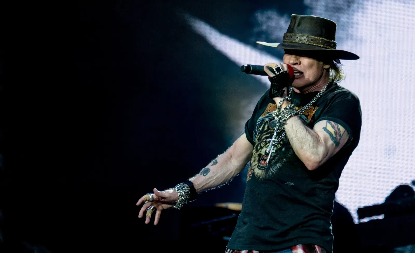 Estranged by Guns N' Roses (Image Credits: Wikimedia)