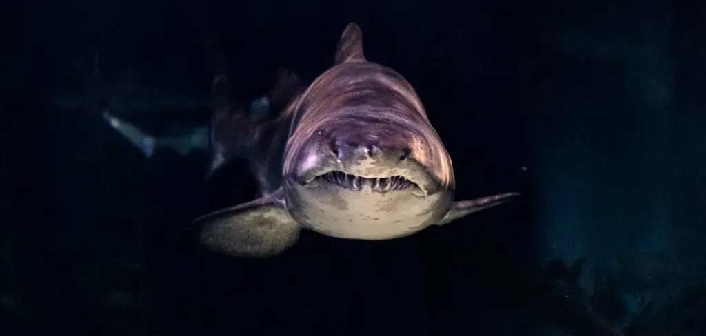 2. Jaws (1975) and the head in the boat (Image Credits: Unsplash)