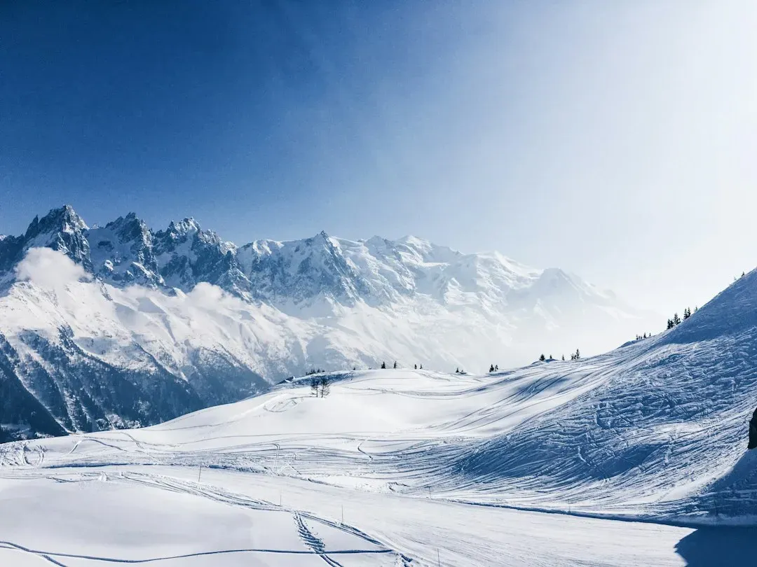 Force Majeure and Downhill (Image Credits: Unsplash)