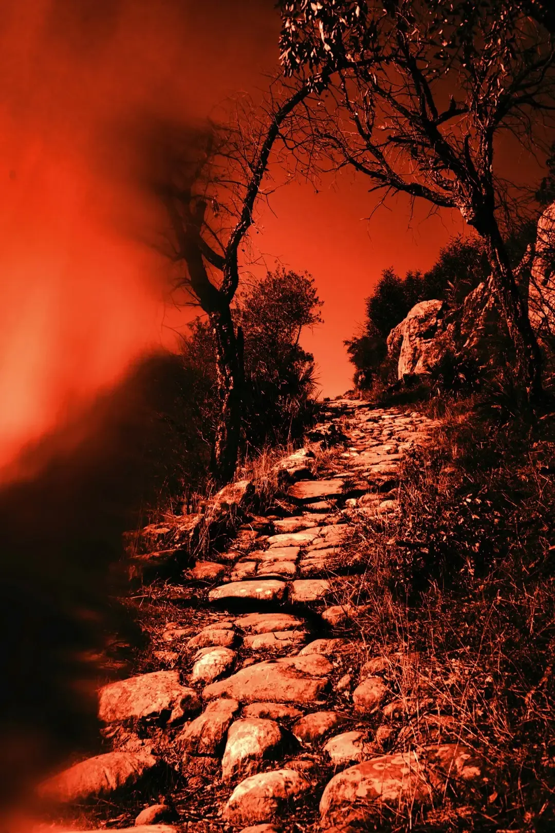 7. The Rocky Horror Picture Show (1975) (Image Credits: Unsplash)