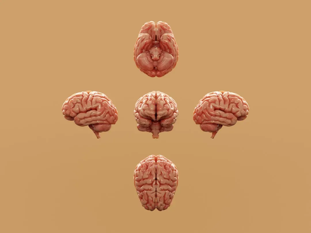 The Representativeness Heuristic: The Cognitive Root Cause (Image Credits: Unsplash)
