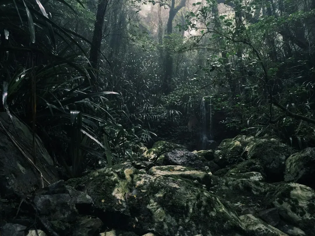 5. "The Hollow Men" in Apocalypse Now (Image Credits: Unsplash)