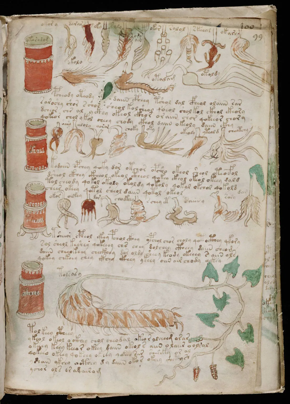 2. The Voynich Manuscript - Six Centuries of Frustrated Geniuses (Beinecke Rare Book & Manuscript Library, Yale University ([1])., Public domain)