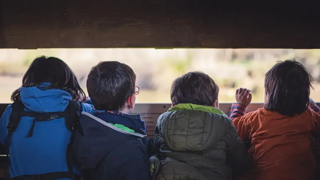 1. Hide and Seek: The Art of Staying Unseen (Image Credits: Unsplash)