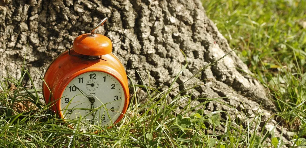 1. A Clockwork Orange (Image Credits: Pixabay)