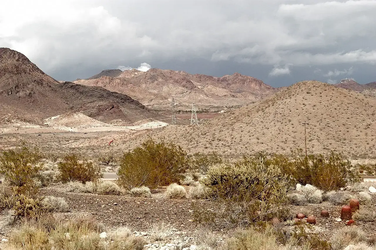 Las Vegas Sands and the Texas Expansion Play (Image Credits: Pixabay)