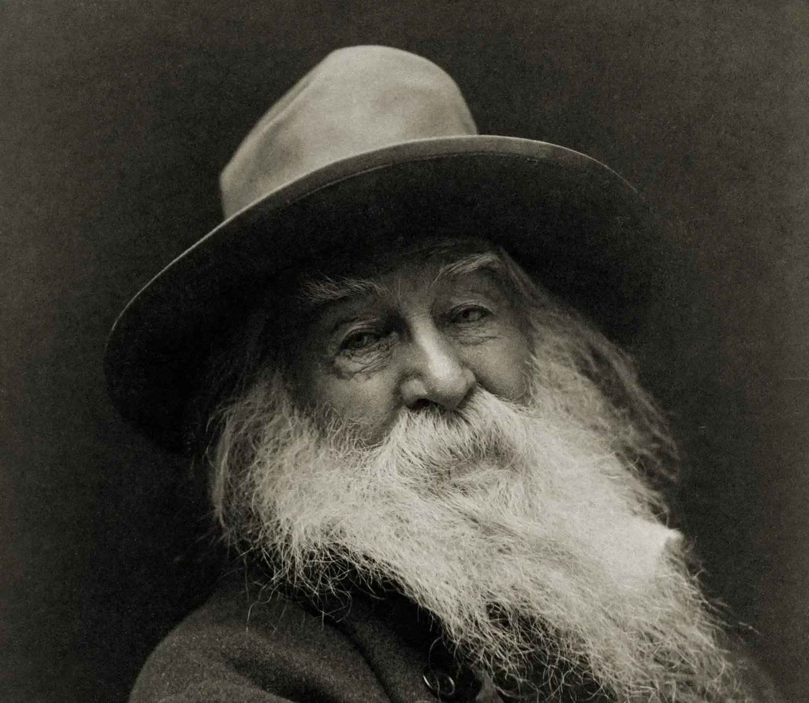 18. Leaves of Grass by Walt Whitman - "To You" (Image Credits: Wikimedia)