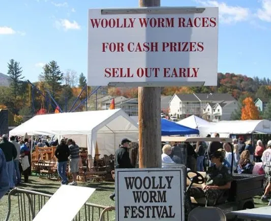 7. The Woolly Worm Festival in Banner Elk, North Carolina (Image Credits: Flickr)