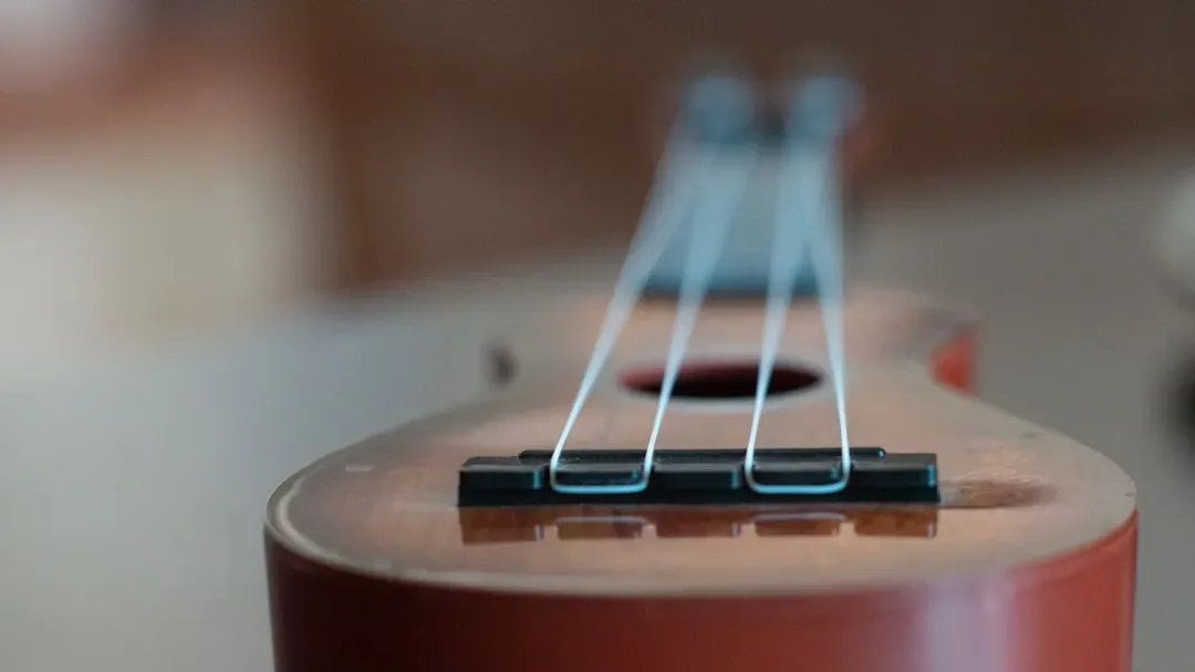 Colleen Ballinger - A Ukulele Song That Became a Turning Point (Image Credits: Unsplash)