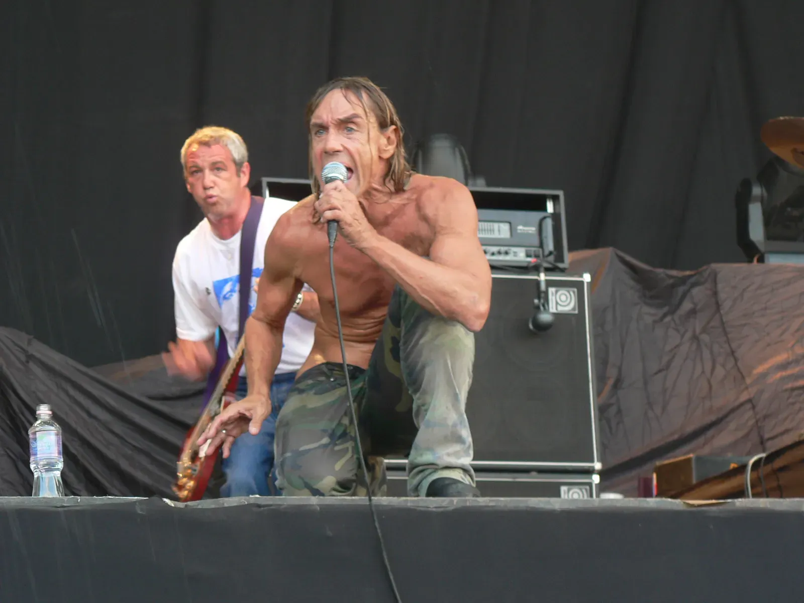Iggy Pop's Seven Dwarfs Obsession (Image Credits: Wikimedia)