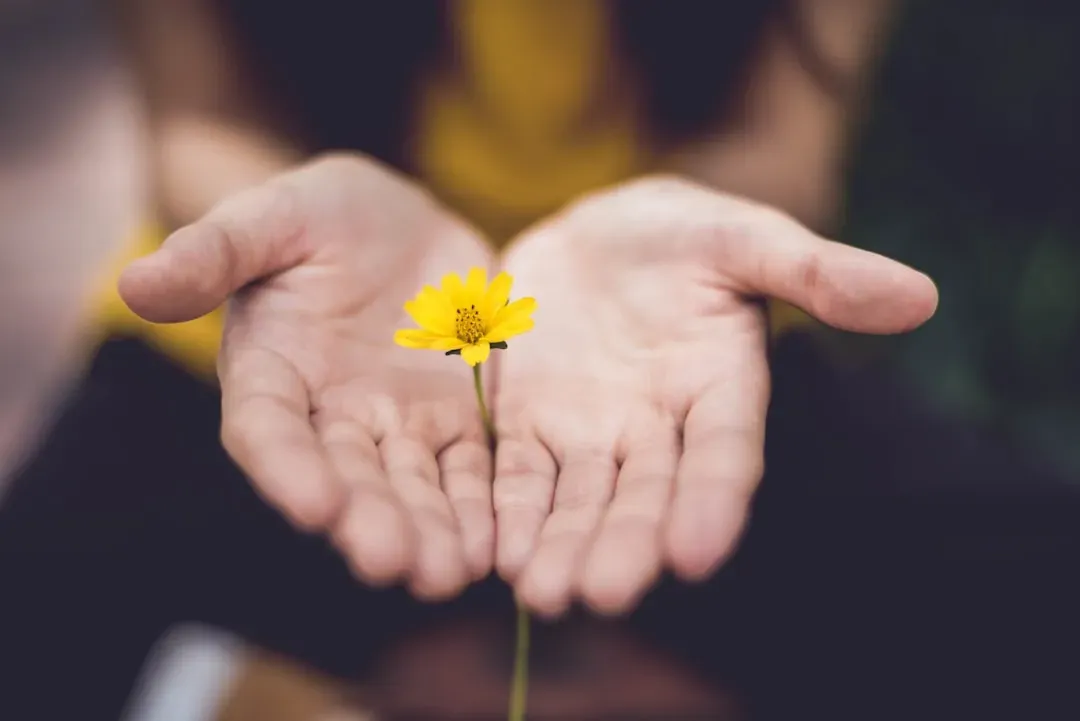 Reciprocity Bias: You Received Something, So You Give (Image Credits: Unsplash)