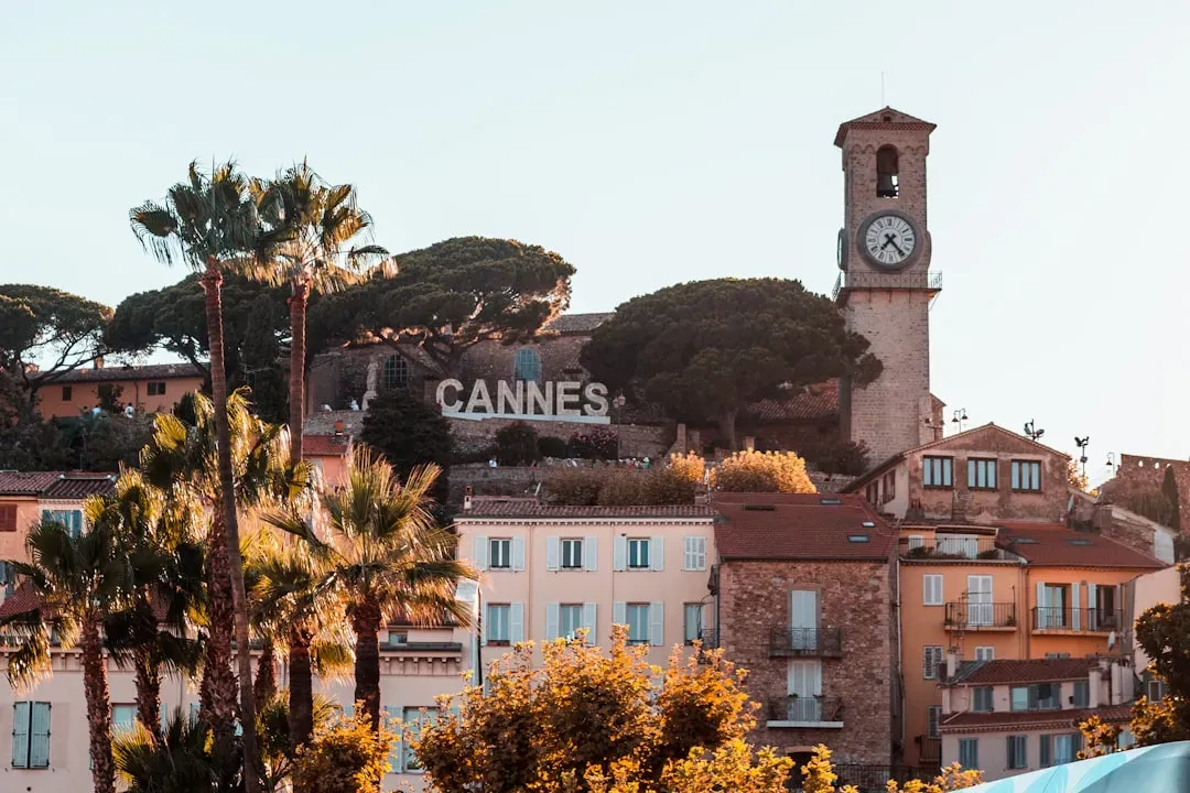 A True Family Affair (Image Credits: Unsplash)