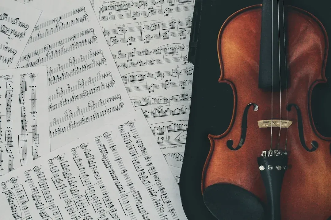 Joker (2019), Hildur Guðnadóttir (Image Credits: Unsplash)