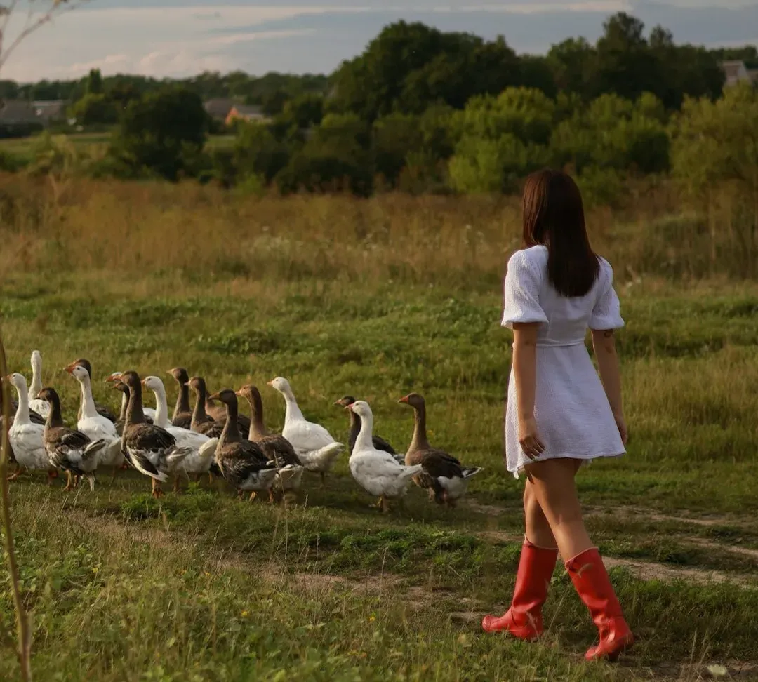 14. The Goose Girl: Death by Nail-Lined Barrel (Image Credits: Unsplash)