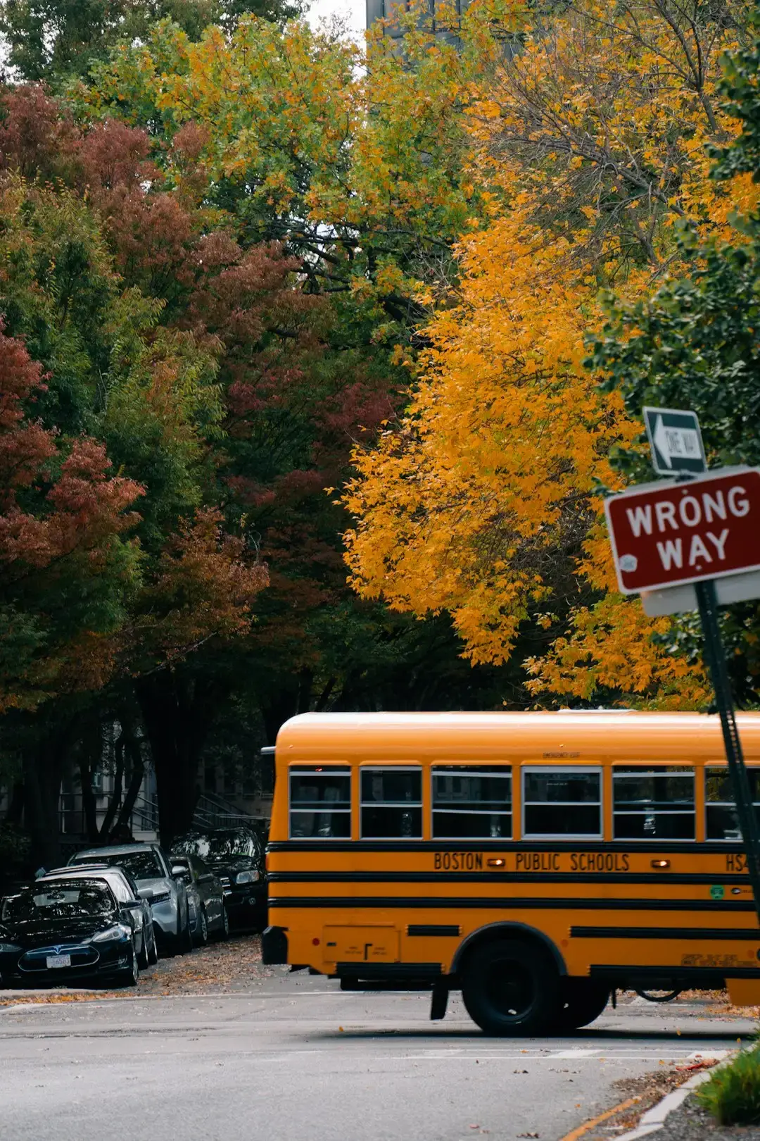 4. Boston's School Busing Crisis Showed That Segregation Was a Northern Problem Too (Image Credits: Unsplash)