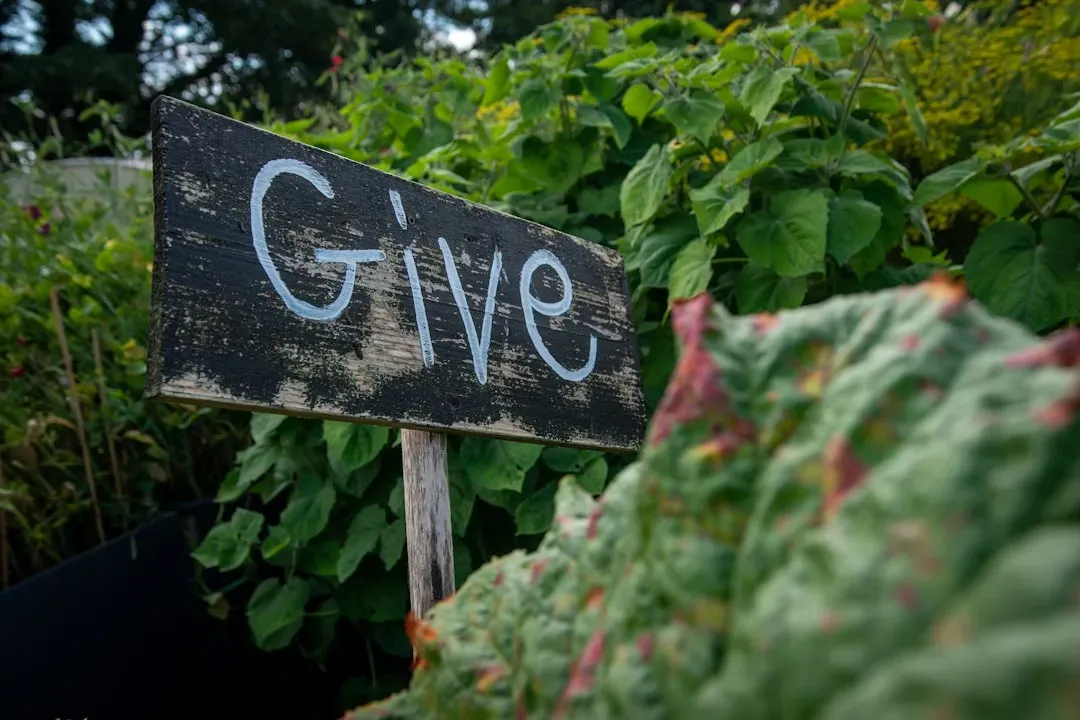 Corporate Giving as a Community Anchor (Image Credits: Unsplash)