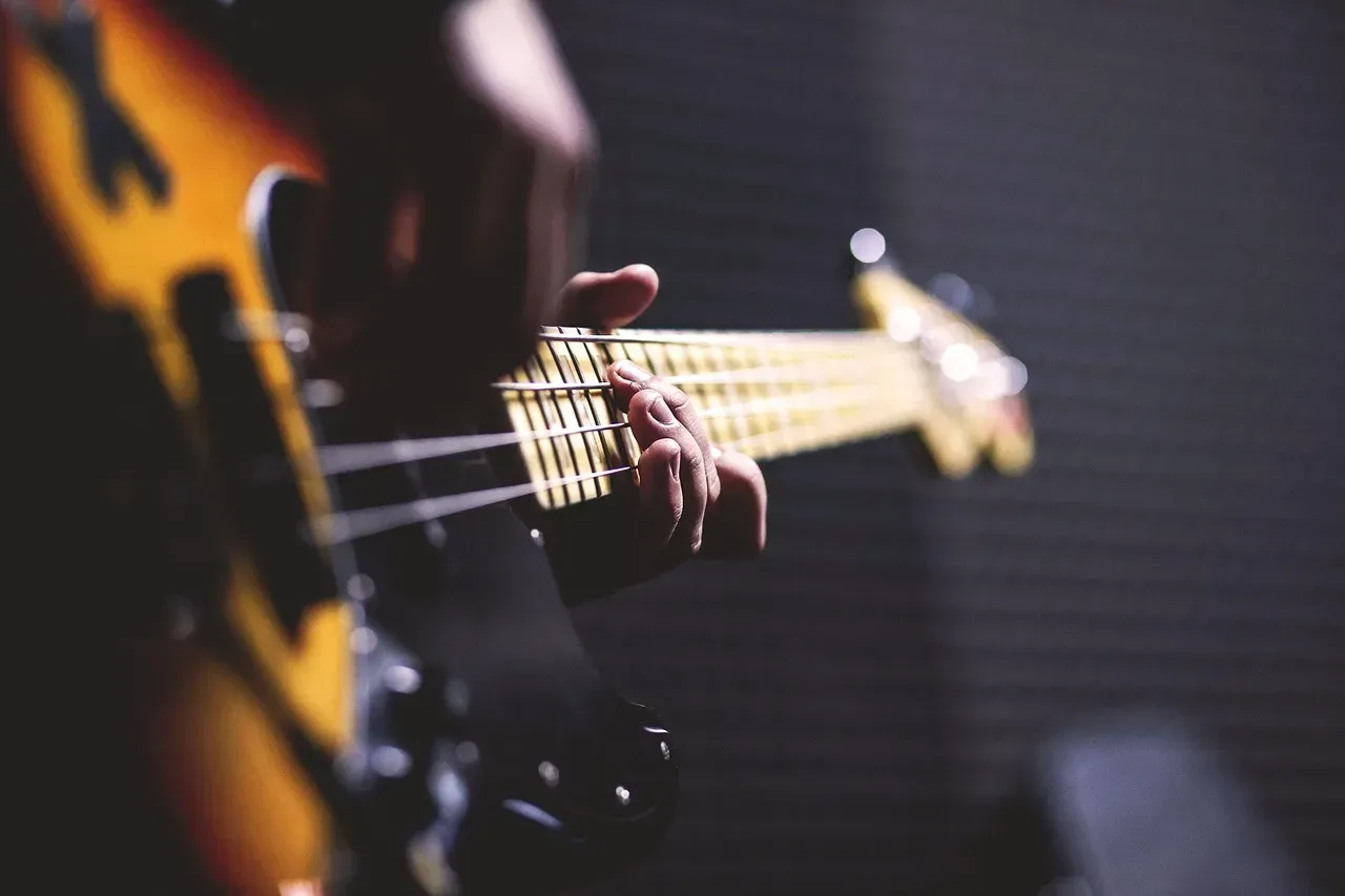 8. The Bass Guitar: The Unsung Foundation (Image Credits: Pixabay)