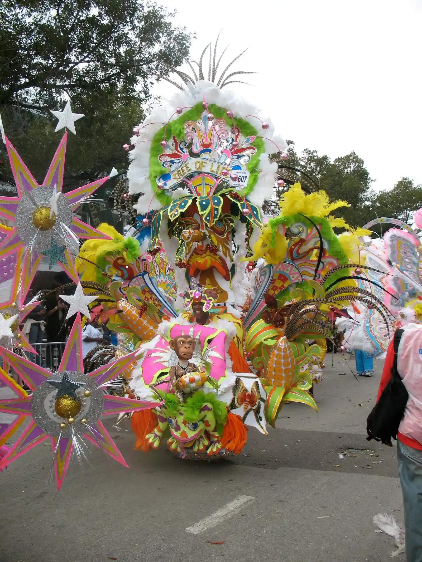 Bahamas Junkanoo Festival – Drums, Dance, and Dazzling Costumes (Image Credits: Wikimedia)