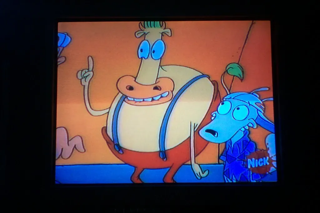 5. Rocko's Modern Life (1993–1996) (Spojení, Flickr, CC BY 2.0)
