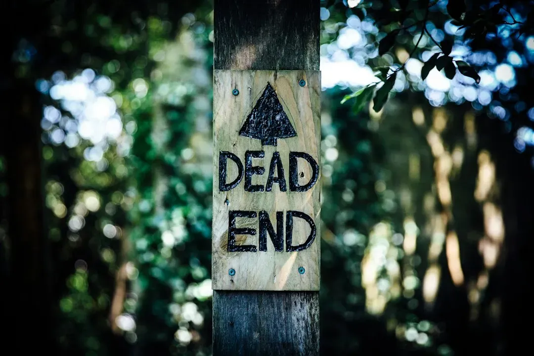 The Walking Dead (Image Credits: Unsplash)