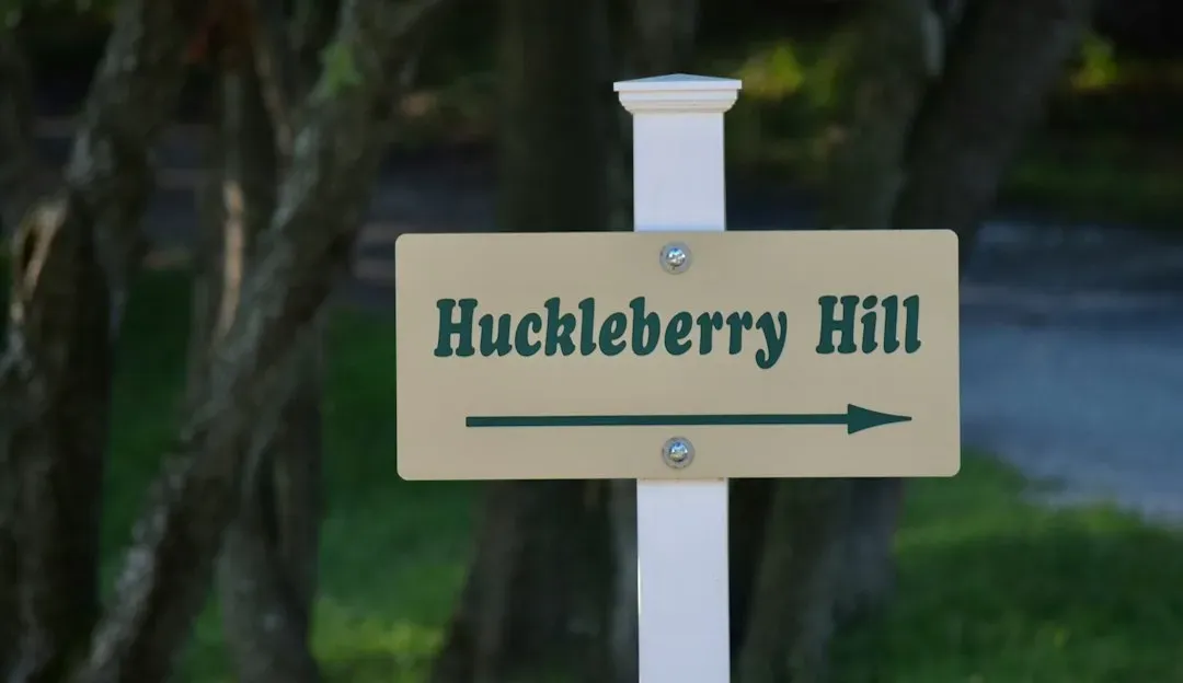 Adventures of Huckleberry Finn by Mark Twain, Chosen by Ernest Hemingway (Image Credits: Unsplash)