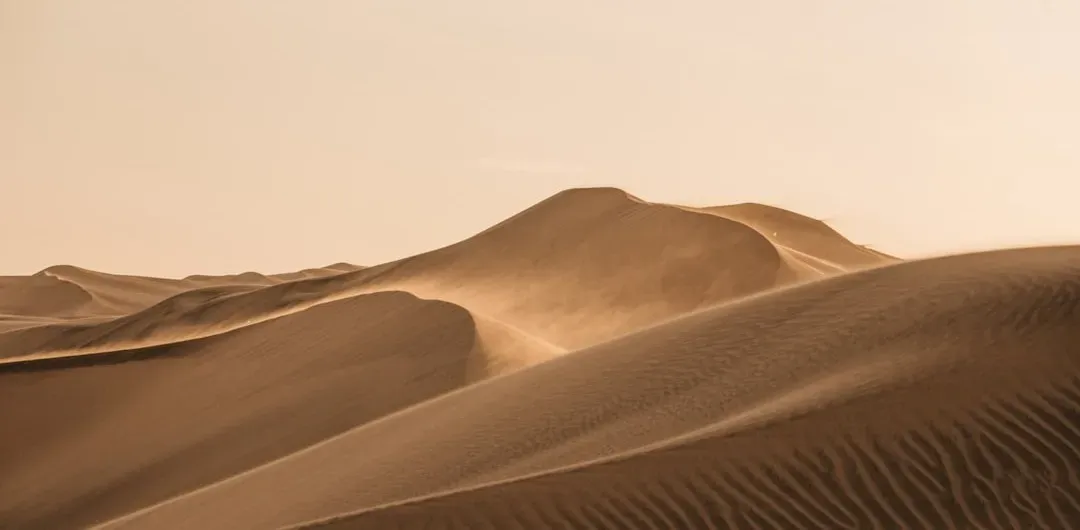 Dune by Frank Herbert (Image Credits: Unsplash)