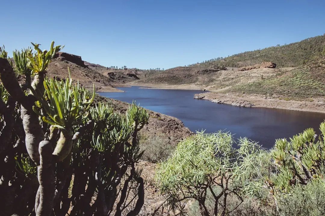 A Desert Oasis Built Around Water (Image Credits: Unsplash)
