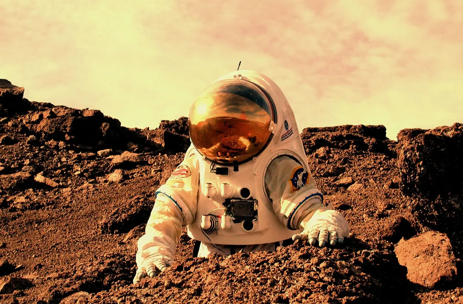The Martian by Andy Weir (By NASA, Public domain)