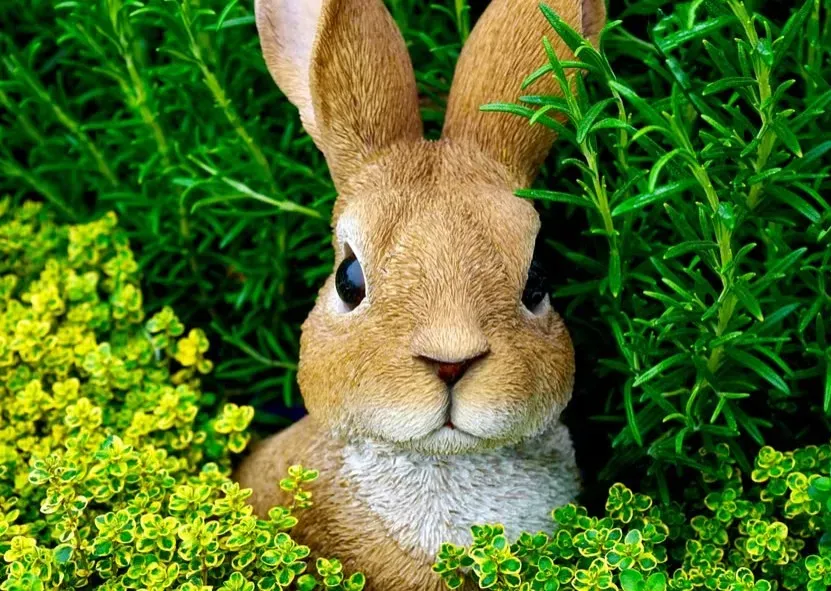 The Velveteen Rabbit by Margery Williams (Image Credits: Pexels)