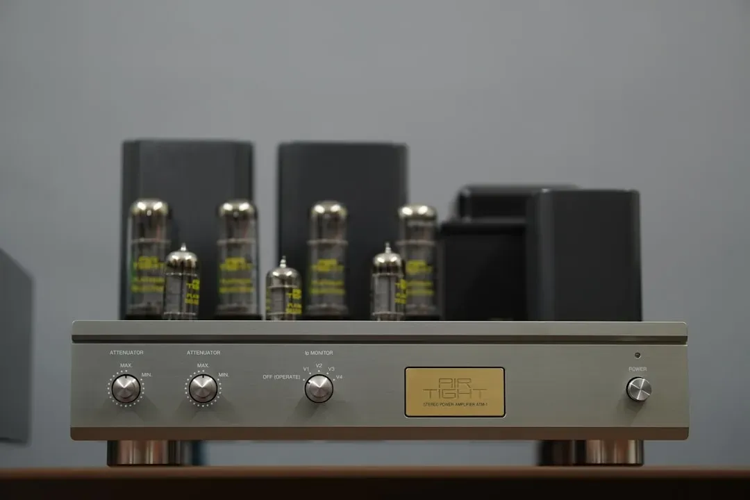 5. Even-Order Harmonic Distortion From Tube Electronics (Image Credits: Unsplash)