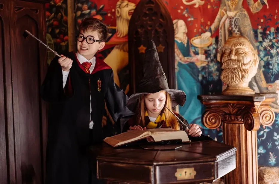 Harry Potter and the Deathly Hallows (2010): Petunia Dursley's Hidden Grief (Image Credits: Pexels)