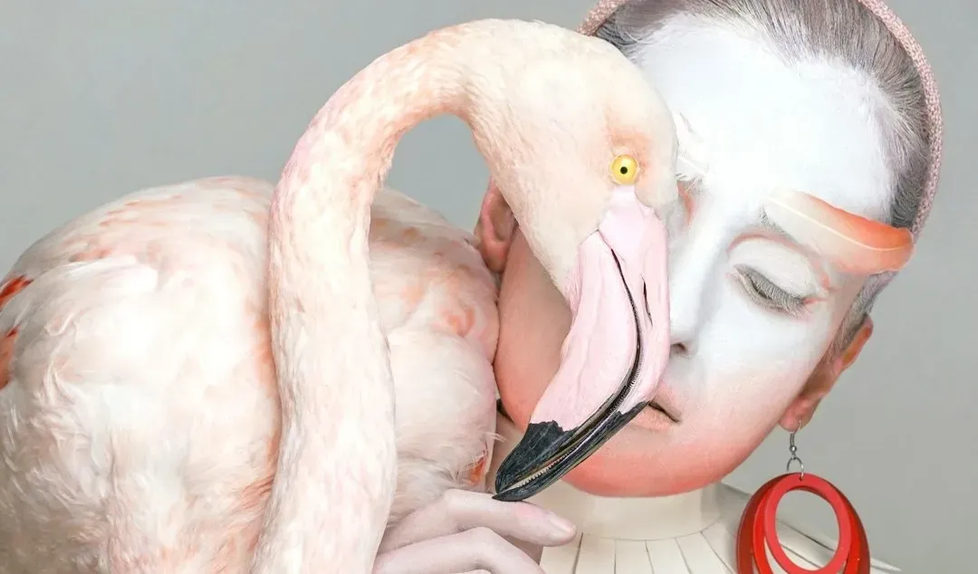 Pink Flamingos (1972) (Image Credits: Unsplash)