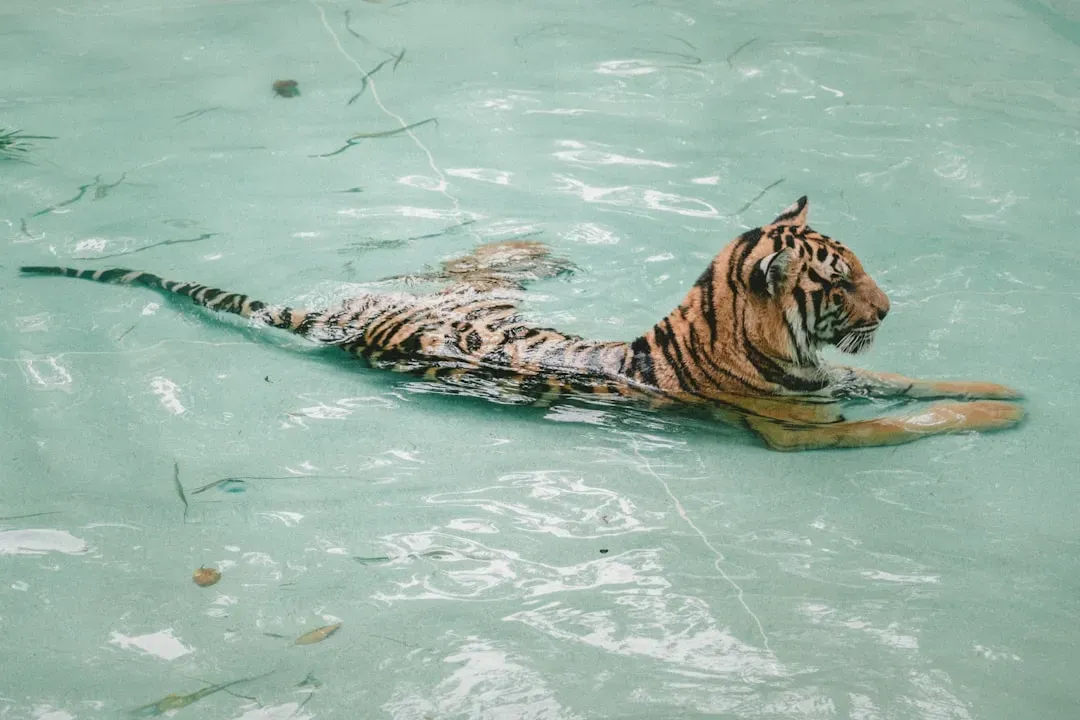 7. Pi Patel - Life of Pi by Yann Martel (2001) (Image Credits: Unsplash)