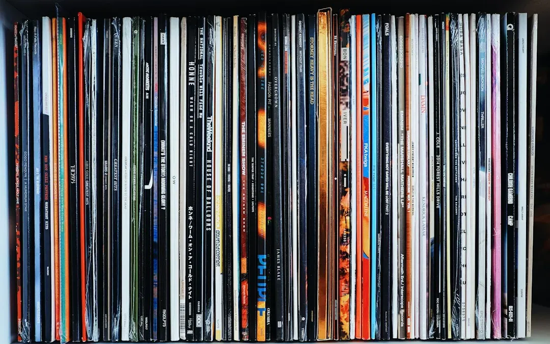 Vinyl Soundtracks and Scores (Image Credits: Unsplash)