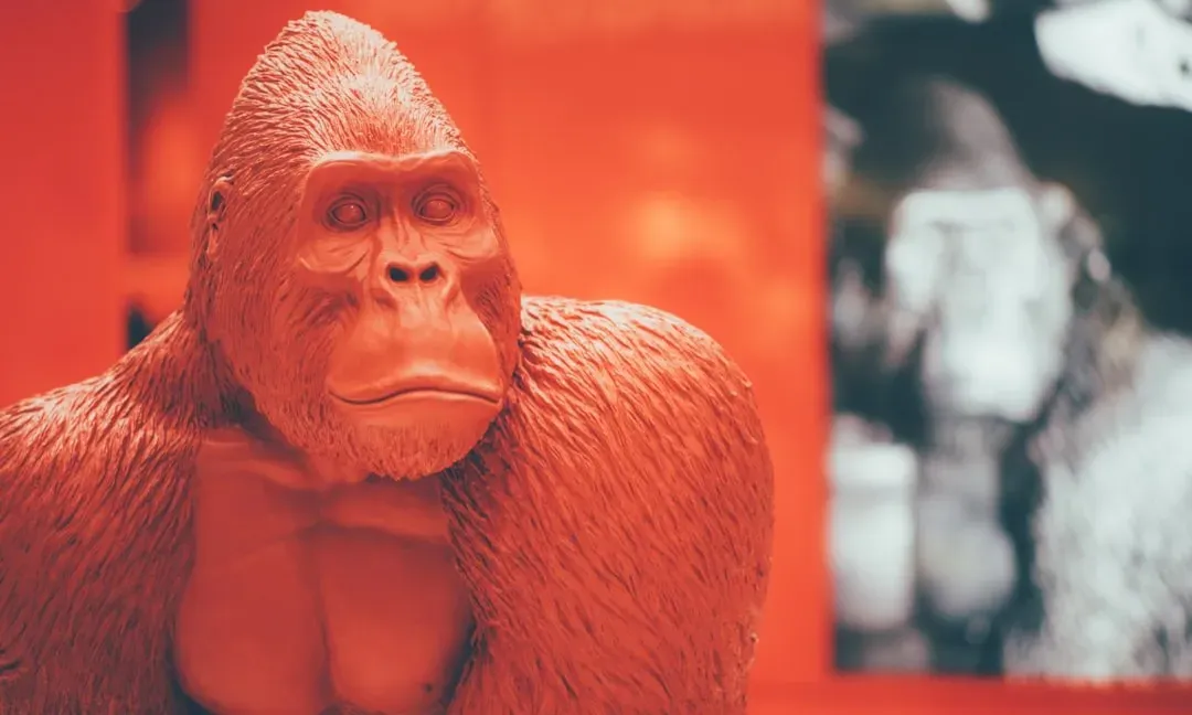 8. King Kong was played by a man in a gorilla suit (Image Credits: Unsplash)