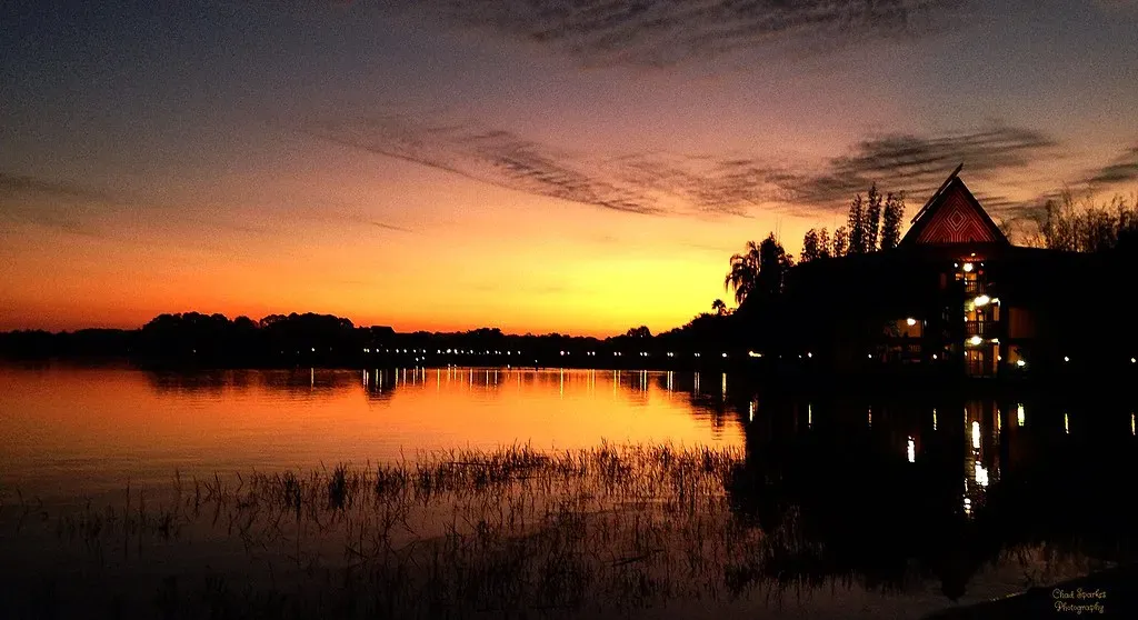 Morning Light: Your Brain's Master Reset Button (Thanks for over 2 million views!!, Flickr, CC BY 2.0)