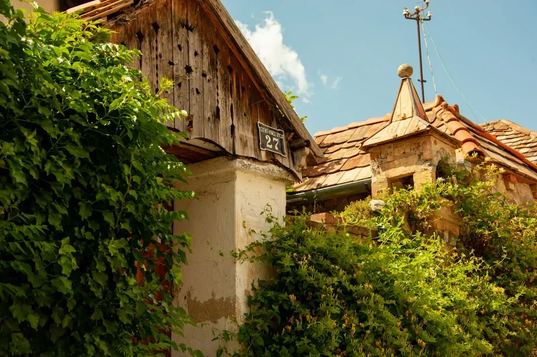 What Makes These Neighborhoods Safer? The Common Threads (Image Credits: Unsplash)