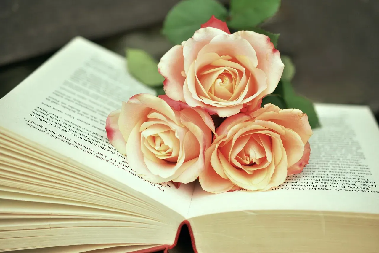 E.E. Cummings Dedicates His Book to His Rejectors - No Thanks (1935) (Image Credits: Pixabay)