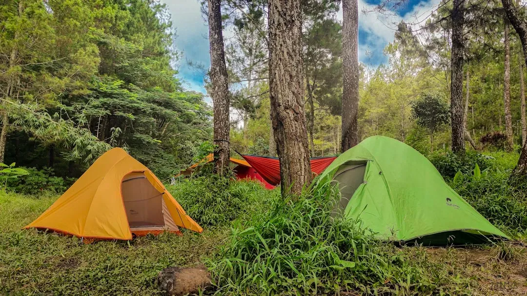 Outdoor Recreation: Different Landscapes, Different Lifestyles (Image Credits: Unsplash)
