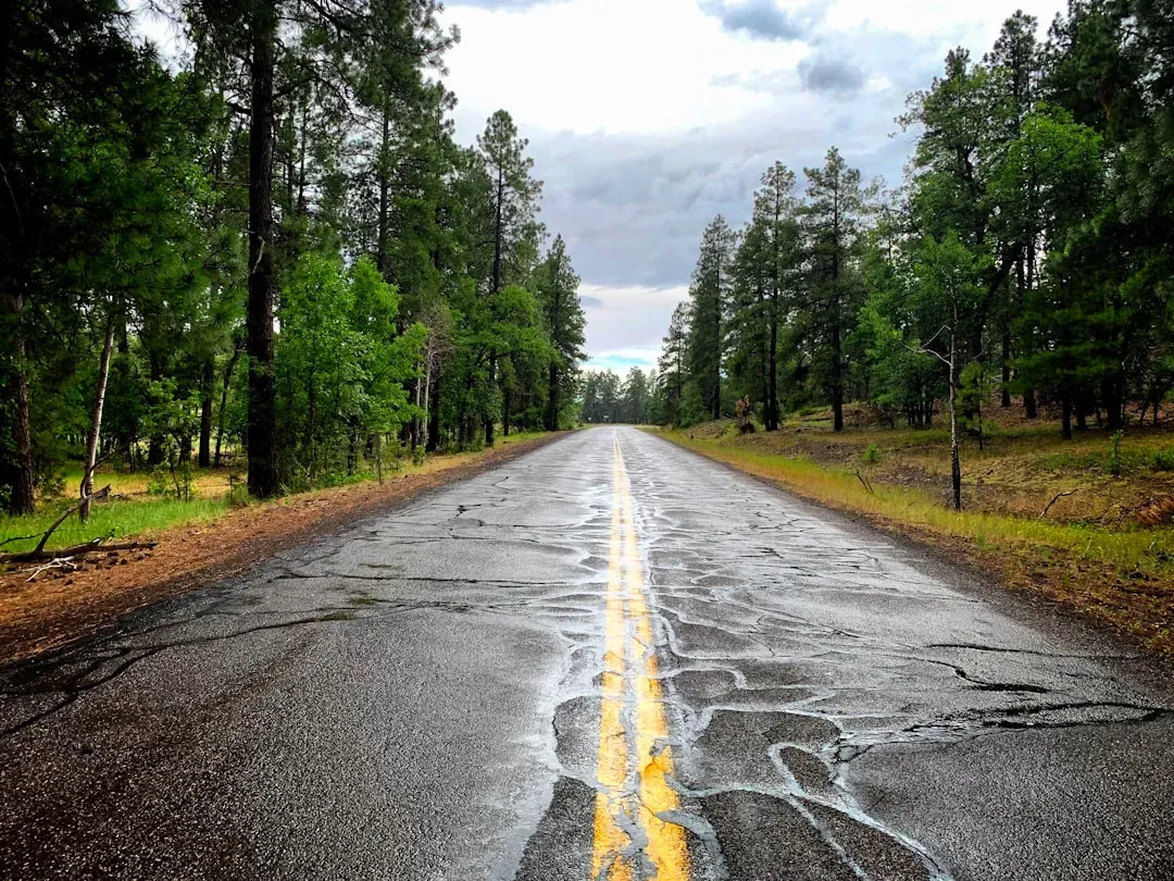 Wet Roads and the Crash Risk Most People Underestimate (Image Credits: Unsplash)