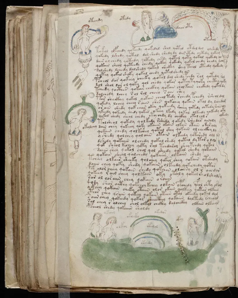 2. The Voynich Manuscript - The Book No One Can Read (Image Credits: Flickr)
