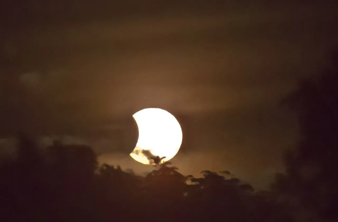 Partial Solar Eclipse Creates a Celestial Crescent (Image Credits: Pixabay)
