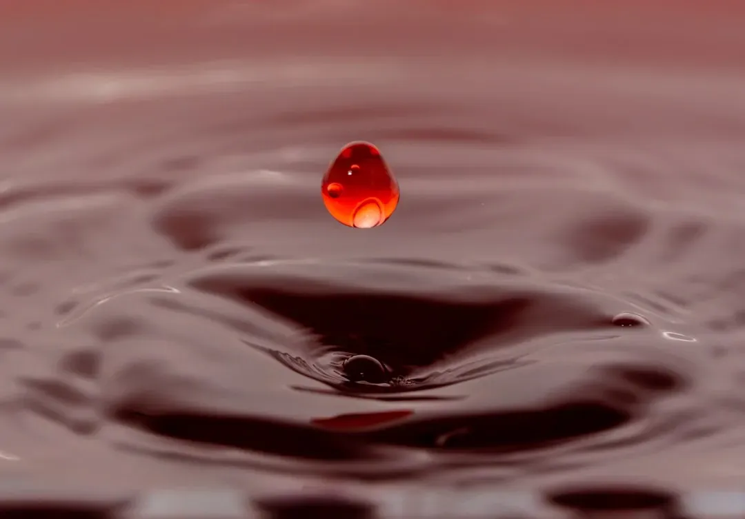 3. "Blood Is Thicker Than Water" Originally Said the Opposite (Image Credits: Unsplash)