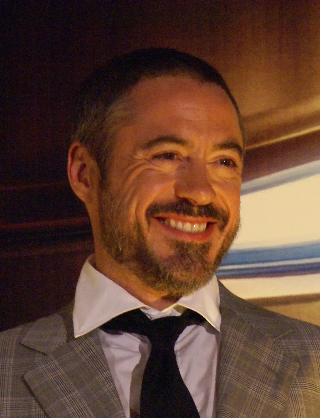 Robert Downey Jr. and Iron Man (Cropped picture of a picture from Wikimedia Commons, originally posted on flickr as Publicada en wikipedia, CC BY-SA 2.0)