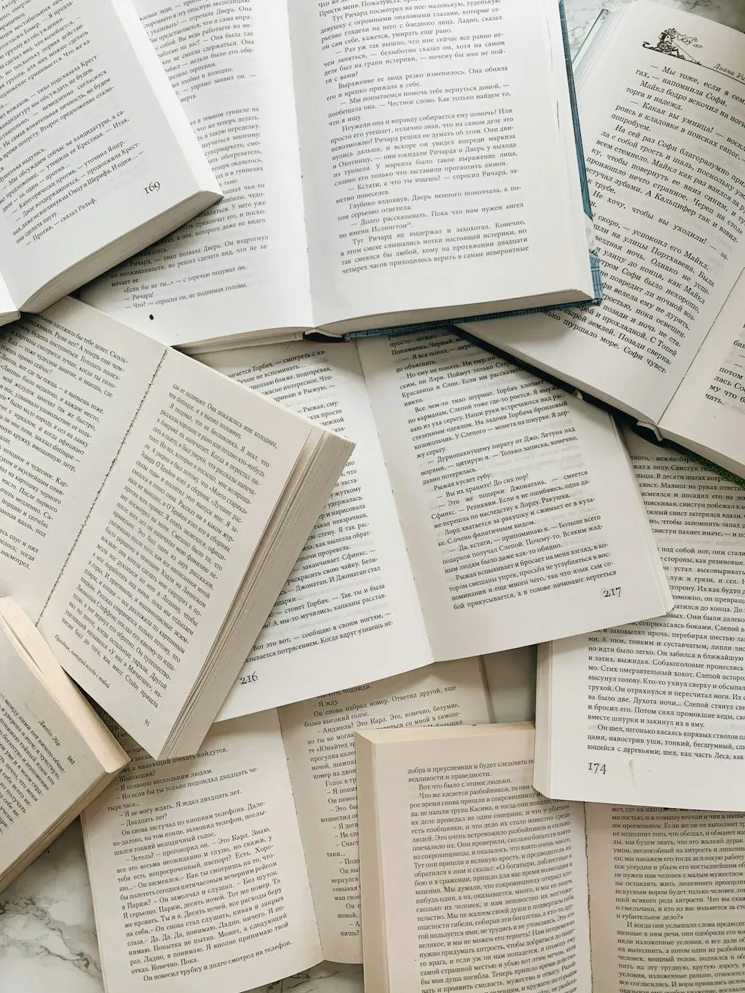 Whistler by Ann Patchett (Image Credits: Unsplash)