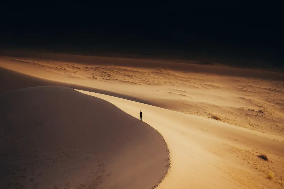 Dune (2021) (Image Credits: Unsplash)