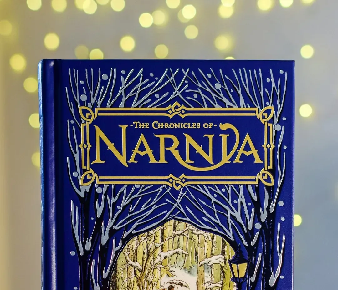 5. The Chronicles of Narnia (original film series) (Image Credits: Unsplash)