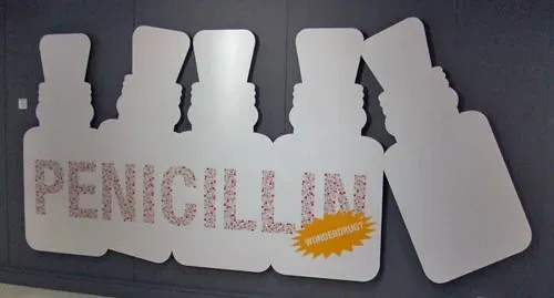 Penicillin: The Moldy Mistake That Saved Millions (Image Credits: Flickr)