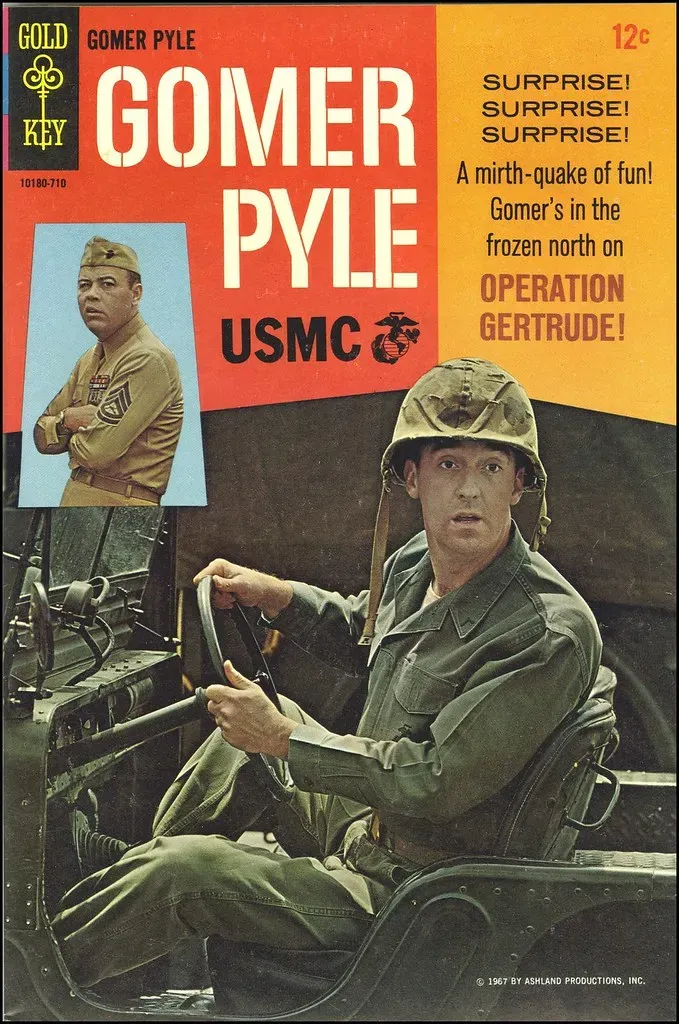 Gomer Pyle, From Mayberry to the Marines (Marxchivist, Flickr, CC BY 2.0)